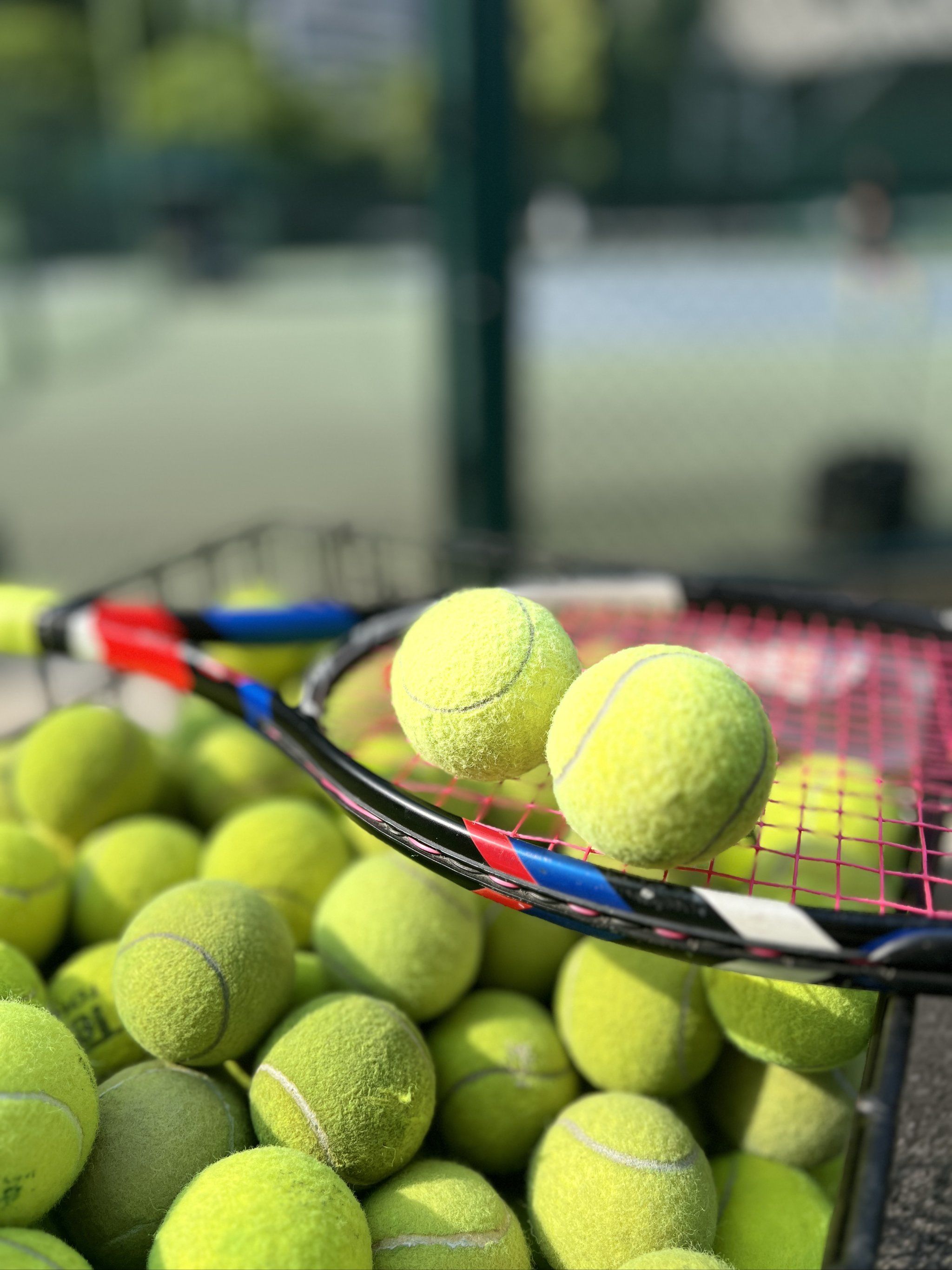 这些热心体 这些热心体