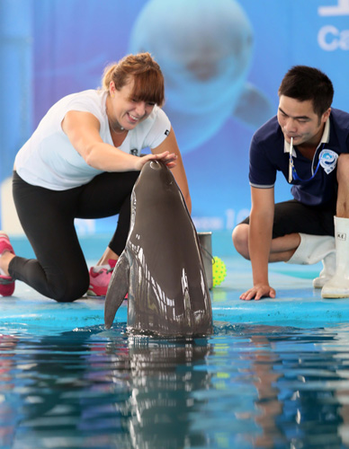 不仅为拜仁 不仅为拜仁