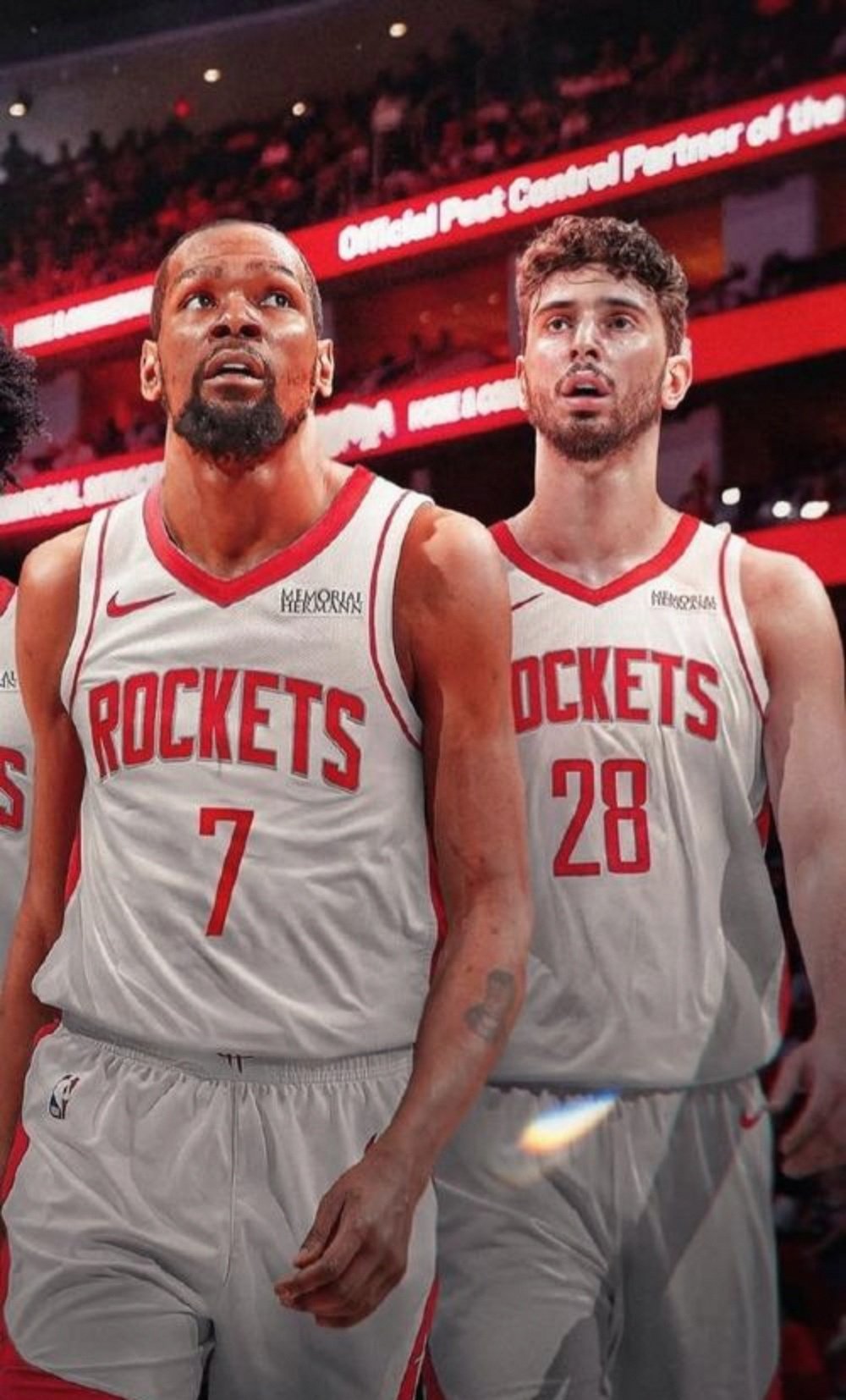 与本土化的 与本土化的